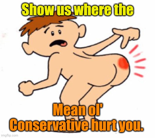 Butthurt | Show us where the; Mean ol' Conservative hurt you. | image tagged in butthurt | made w/ Imgflip meme maker