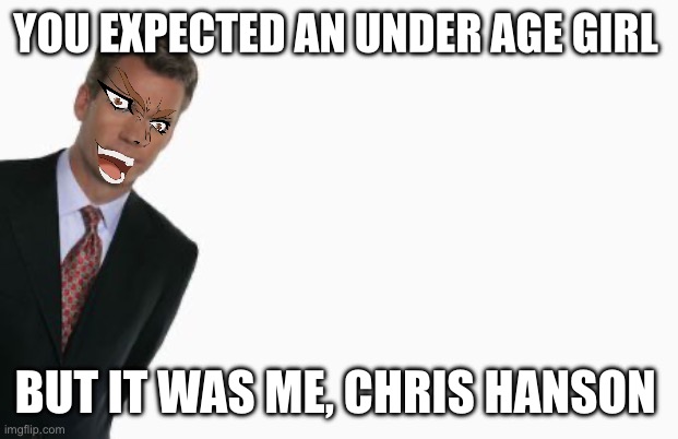 Average to catch a predator episode | YOU EXPECTED AN UNDER AGE GIRL; BUT IT WAS ME, CHRIS HANSON | image tagged in chris hanson | made w/ Imgflip meme maker