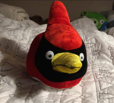 High Quality angry bird at home Blank Meme Template