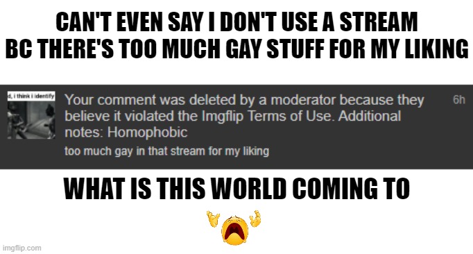 like seriously.  its as if NOT being gay is considered a fking sin these days | CAN'T EVEN SAY I DON'T USE A STREAM BC THERE'S TOO MUCH GAY STUFF FOR MY LIKING; WHAT IS THIS WORLD COMING TO | image tagged in what the hell is wrong with you people | made w/ Imgflip meme maker