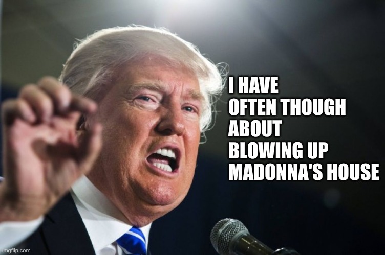 donald trump | I HAVE OFTEN THOUGH ABOUT BLOWING UP MADONNA'S HOUSE | image tagged in donald trump | made w/ Imgflip meme maker