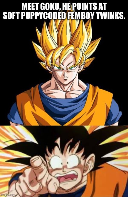You know what that means, right? | MEET GOKU, HE POINTS AT SOFT PUPPYCODED FEMBOY TWINKS. | image tagged in advice goku,goku shocked | made w/ Imgflip meme maker