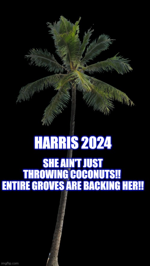 Coconut Palm (PNG) | HARRIS 2024; SHE AIN'T JUST THROWING COCONUTS!! 
ENTIRE GROVES ARE BACKING HER!! | image tagged in coconut palm png | made w/ Imgflip meme maker