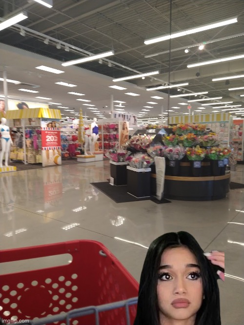 It’s just Jasmine Mir going to Target! | image tagged in target,miami,florida,pretty girl,beautiful girl,gorgeous | made w/ Imgflip meme maker