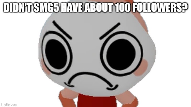 DIDN'T SMG5 HAVE ABOUT 100 FOLLOWERS? | made w/ Imgflip meme maker