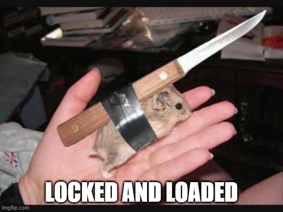 Lock and Load Hamster | LOCKED AND LOADED | image tagged in lock and load hamster | made w/ Imgflip meme maker