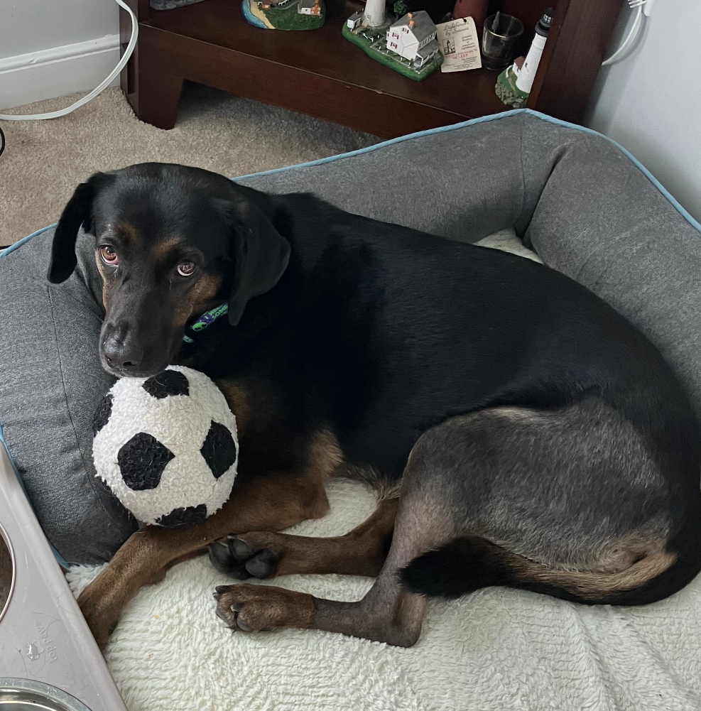 Roxie Blank Meme Template