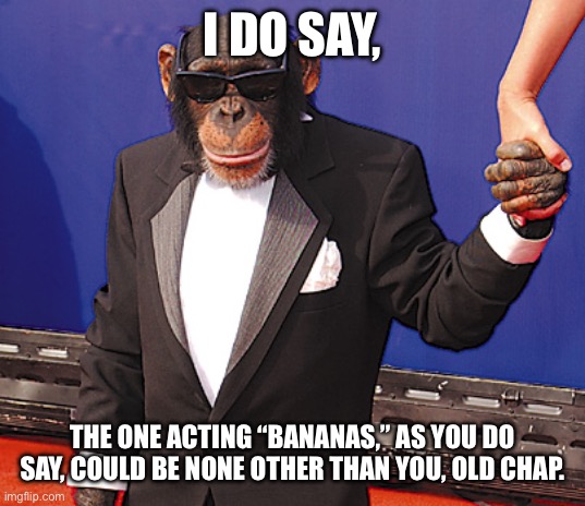 Fancy monkey | I DO SAY, THE ONE ACTING “BANANAS,” AS YOU DO SAY, COULD BE NONE OTHER THAN YOU, OLD CHAP. | image tagged in fancy monkey | made w/ Imgflip meme maker