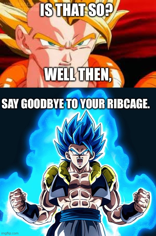 IS THAT SO? WELL THEN, SAY GOODBYE TO YOUR RIBCAGE. | image tagged in super gogeta,gogeta blue yell | made w/ Imgflip meme maker