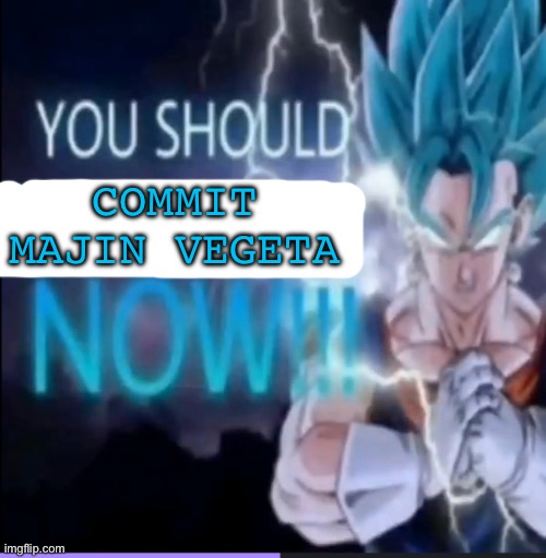 Vegito kys | COMMIT MAJIN VEGETA | image tagged in vegito kys | made w/ Imgflip meme maker