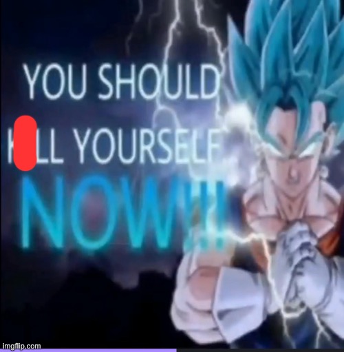 Vegito kys | image tagged in vegito kys | made w/ Imgflip meme maker