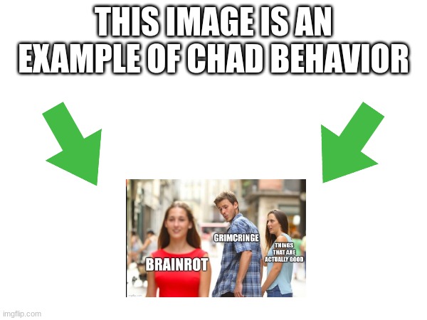 This image is an example of chad behavior | image tagged in this image is an example of chad behavior | made w/ Imgflip meme maker