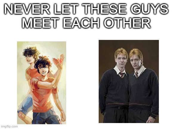 If you're both a Percy Jackson fan and a Harry Potter fan, you know | NEVER LET THESE GUYS
MEET EACH OTHER | image tagged in percy jackson,harry potter | made w/ Imgflip meme maker