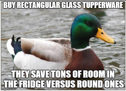 Actual Advice Mallard | BUY RECTANGULAR GLASS TUPPERWARE THEY SAVE TONS OF ROOM IN THE FRIDGE VERSUS ROUND ONES | image tagged in memes,actual advice mallard,AdviceAnimals | made w/ Imgflip meme maker