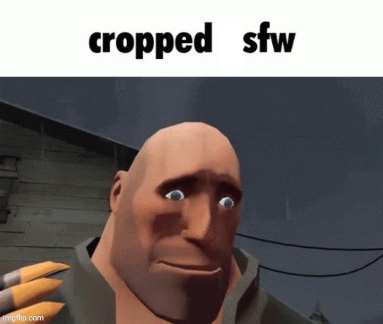 Cropped nsfw | image tagged in cropped nsfw | made w/ Imgflip meme maker