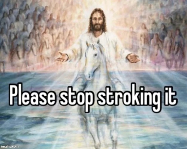 Please stop stroking it | image tagged in please stop stroking it | made w/ Imgflip meme maker