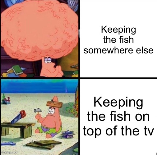 patrick big brain | Keeping the fish somewhere else Keeping the fish on top of the tv | image tagged in patrick big brain | made w/ Imgflip meme maker