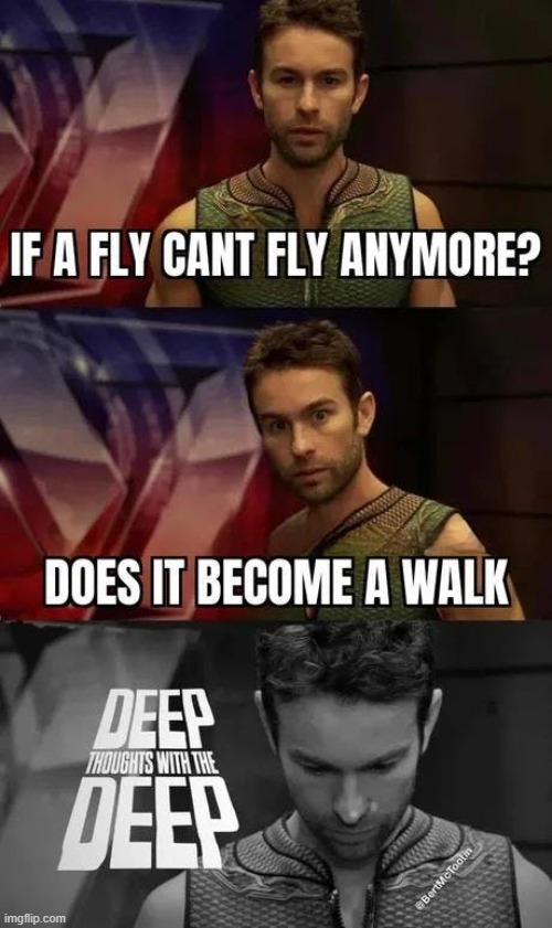 Things I think about all the time | image tagged in vince vance,flies,wings,deep thoughts,memes,questions | made w/ Imgflip meme maker