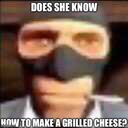 DOES SHE KNOW HOW TO MAKE A GRILLED CHEESE? | image tagged in spi | made w/ Imgflip meme maker