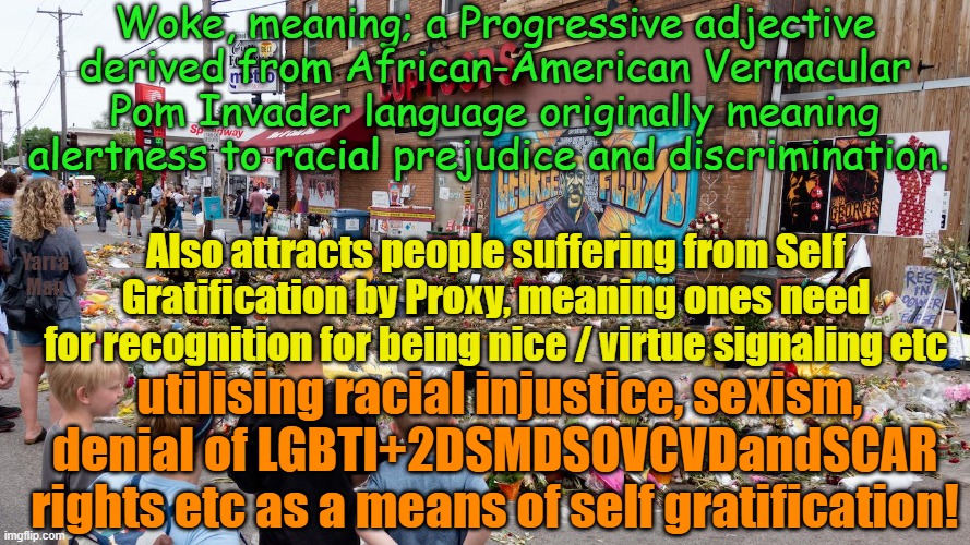 Woke meaning / Virtue Signaling / Self Gratification by Proxy etc. | Woke, meaning; a Progressive adjective derived from African-American Vernacular Pom Invader language originally meaning alertness to racial prejudice and discrimination. Also attracts people suffering from Self Gratification by Proxy, meaning ones need for recognition for being nice / virtue signaling etc; Yarra Man; utilising racial injustice, sexism, denial of LGBTI+2DSMDSOVCVDandSCAR rights etc as a means of self gratification! | image tagged in progressive speak,leftist,democrats,hollywood,labor,cnn / msnbc / abc | made w/ Imgflip meme maker