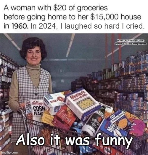 In 2024, I laughed so hard I cried. Repost w/ addition of Anna Darwin, sarcastic funny memes; Also it was funny | made w/ Imgflip meme maker