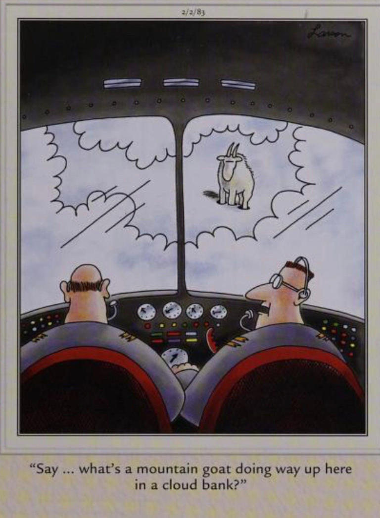 Far Side - What's that goat doing way up here Blank Meme Template