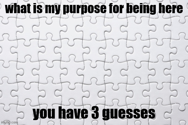 Plain Puzzle | what is my purpose for being here; you have 3 guesses | image tagged in plain puzzle | made w/ Imgflip meme maker