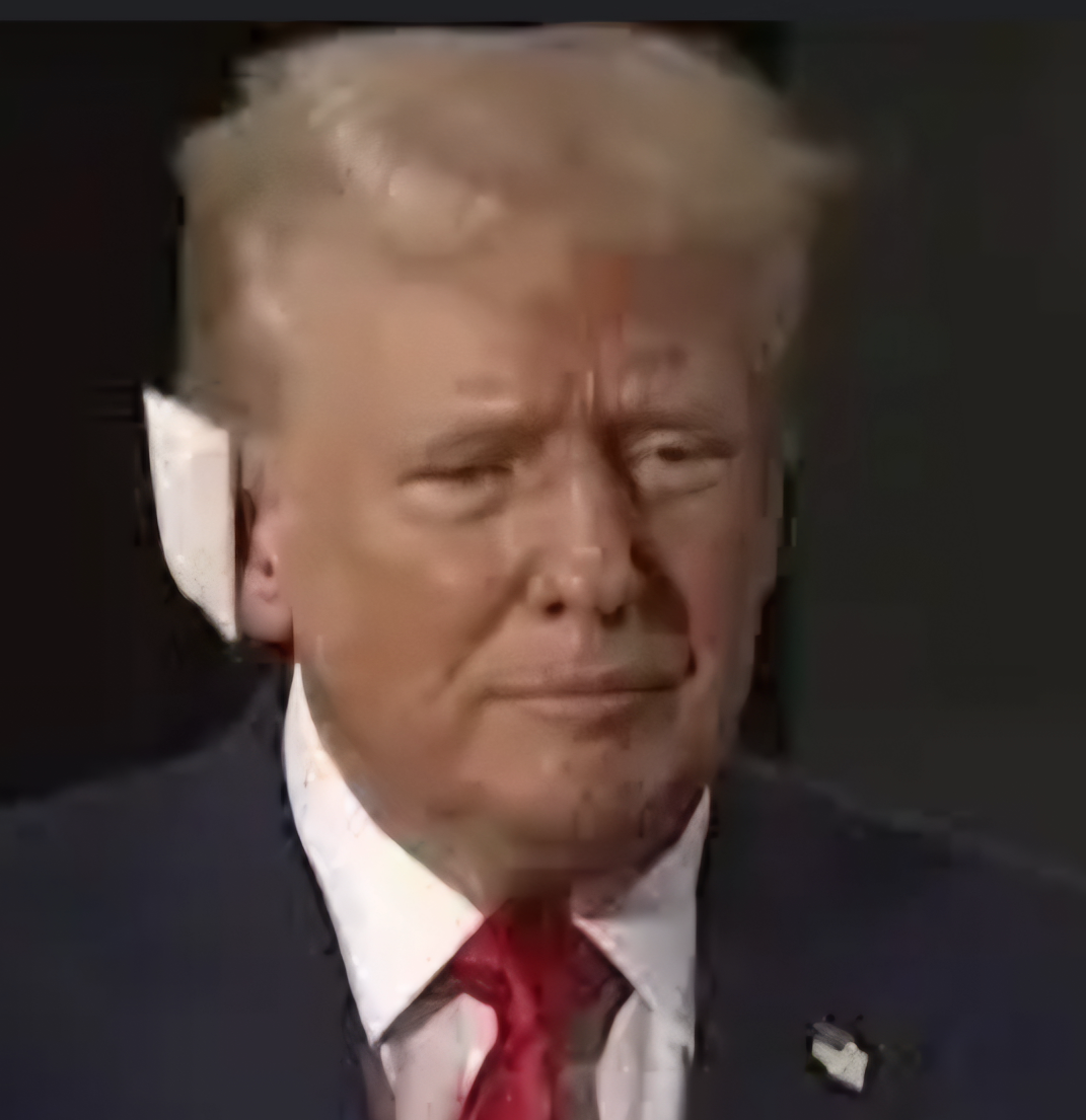 Donald Trump Blank Meme Template