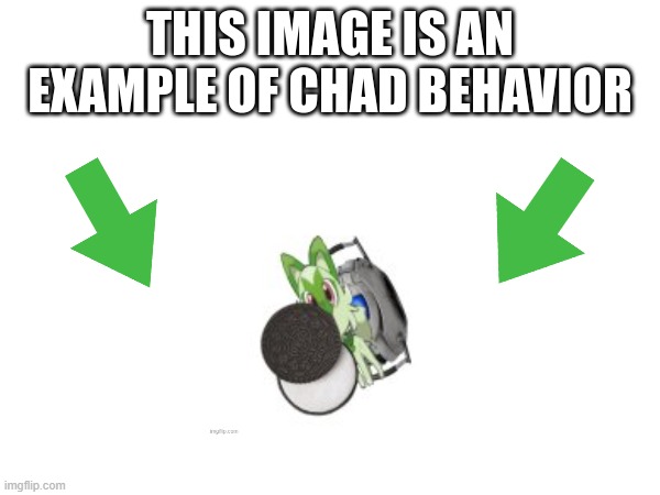 image tagged in this image is an example of chad behavior | made w/ Imgflip meme maker