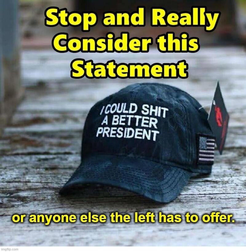 I could shit a better president than Joe Biden. | image tagged in dementia joe,shit for brains,mush mind,creepy joe biden,pedo joe,pedohitler | made w/ Imgflip meme maker