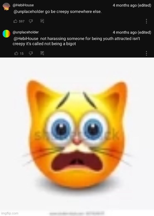 wtf | image tagged in cat stock emoji scared | made w/ Imgflip meme maker