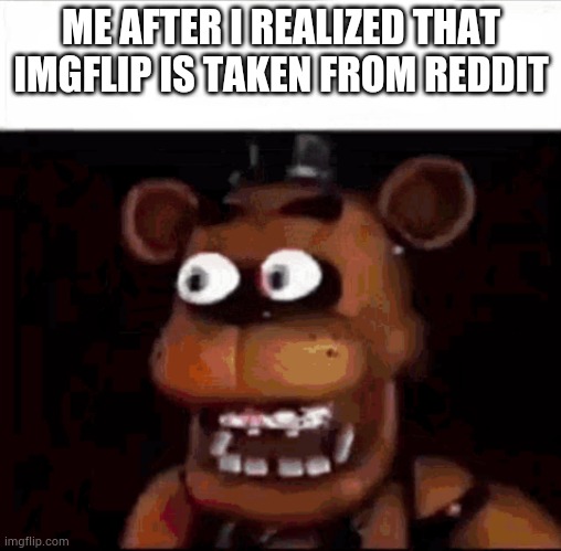 Didnt think about that | ME AFTER I REALIZED THAT IMGFLIP IS TAKEN FROM REDDIT | image tagged in shocked freddy fazbear,imgflip,reddit | made w/ Imgflip meme maker