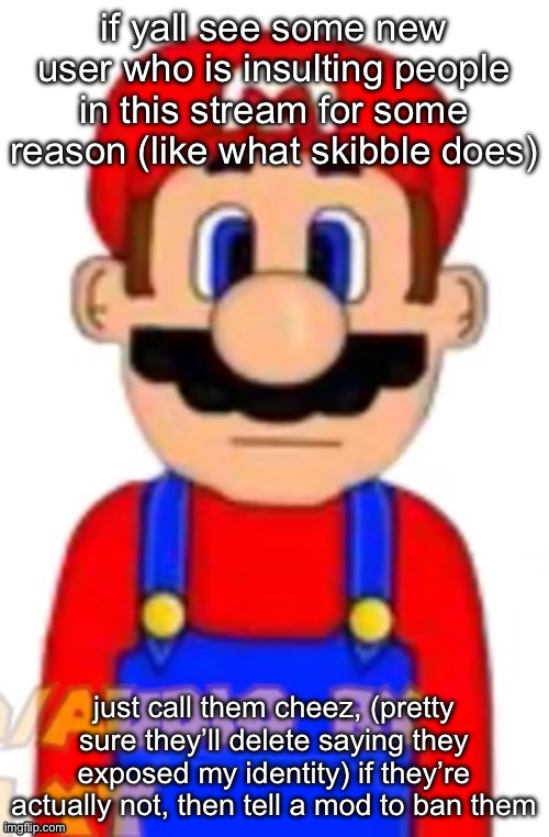 bunch of yapping warning | if yall see some new user who is insulting people in this stream for some reason (like what skibble does); just call them cheez, (pretty sure they’ll delete saying they exposed my identity) if they’re actually not, then tell a mod to ban them | image tagged in mario | made w/ Imgflip meme maker