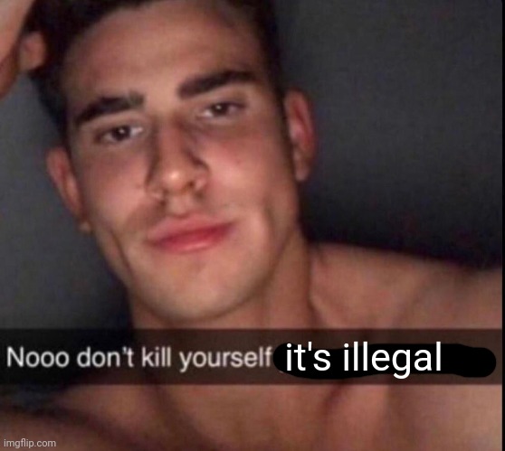 Nooo don't kill urself | it's illegal | image tagged in nooo don't kill urself | made w/ Imgflip meme maker