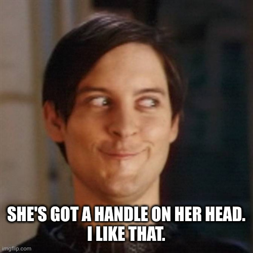 Sneaky Face | SHE'S GOT A HANDLE ON HER HEAD.
I LIKE THAT. | image tagged in sneaky face | made w/ Imgflip meme maker