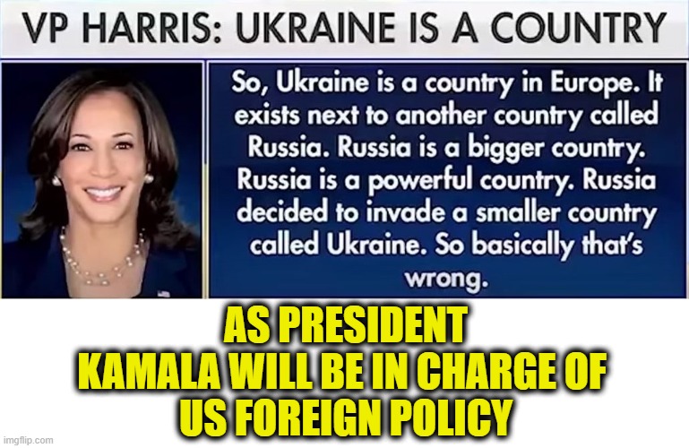 POTUS should be smarter than a 6 year old | AS PRESIDENT
KAMALA WILL BE IN CHARGE OF 
US FOREIGN POLICY | image tagged in kamala harris | made w/ Imgflip meme maker