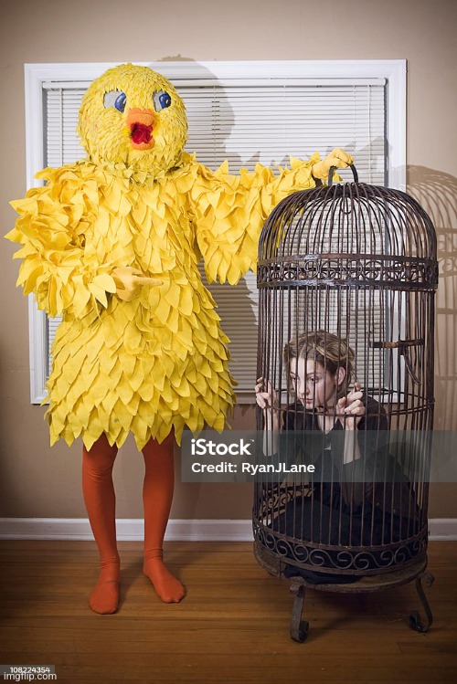 Stock photos be wildin | made w/ Imgflip meme maker
