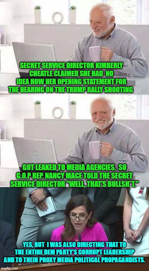 No punches pulled. | SECRET SERVICE DIRECTOR KIMBERLY CHEATLE CLAIMED SHE HAD  NO IDEA HOW HER OPENING STATEMENT FOR THE HEARING ON THE TRUMP RALLY SHOOTING; GOT LEAKED TO MEDIA AGENCIES.  SO G.O.P REP. NANCY MACE TOLD THE SECRET SERVICE DIRECTOR "WELL, THAT’S BULLSH*T."; YES, BUT  I WAS ALSO DIRECTING THAT TO THE ENTIRE DEM PARTY'S CORRUPT LEADERSHIP AND TO THEIR PROXY MEDIA POLITICAL PROPAGANDISTS. | image tagged in hide the pain harold | made w/ Imgflip meme maker