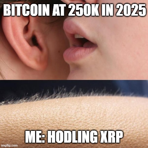 hodling xrp | BITCOIN AT 250K IN 2025; ME: HODLING XRP | image tagged in whisper and goosebumps | made w/ Imgflip meme maker