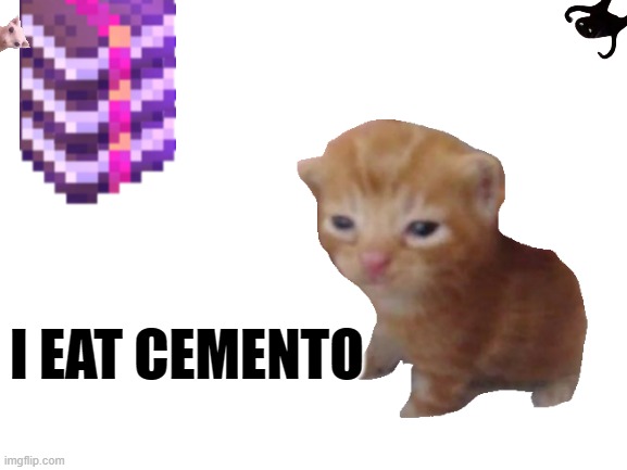 Cat | I EAT CEMENTO | image tagged in blank white template | made w/ Imgflip meme maker