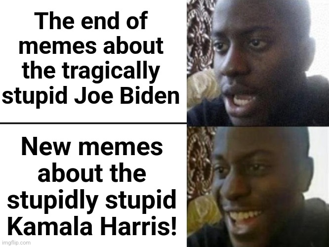 Let's go! | The end of memes about the tragically stupid Joe Biden; New memes
about the
stupidly stupid
Kamala Harris! | image tagged in reversed disappointed black man,memes,joe biden,kamala harris,stupid,democrats | made w/ Imgflip meme maker