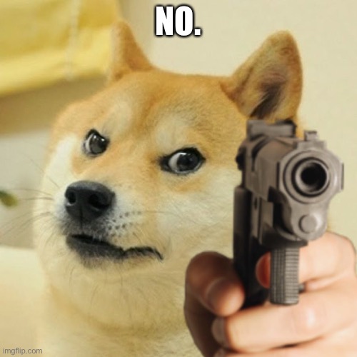 Doge holding a gun | NO. | image tagged in doge holding a gun | made w/ Imgflip meme maker