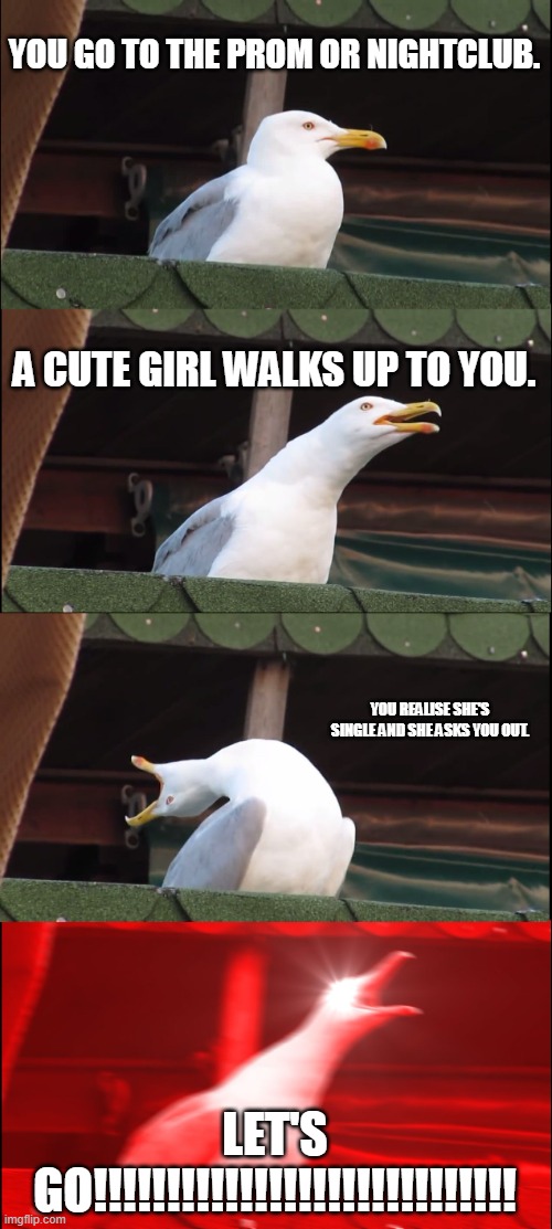 Yo, yeah. Let's go. | YOU GO TO THE PROM OR NIGHTCLUB. A CUTE GIRL WALKS UP TO YOU. YOU REALISE SHE'S SINGLE AND SHE ASKS YOU OUT. LET'S GO!!!!!!!!!!!!!!!!!!!!!!!!!!!!! | image tagged in memes,inhaling seagull | made w/ Imgflip meme maker