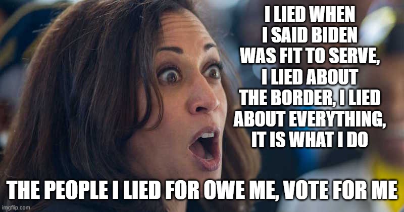 Helping the dims with an honest campaign ad | I LIED WHEN I SAID BIDEN WAS FIT TO SERVE, I LIED ABOUT THE BORDER, I LIED ABOUT EVERYTHING, IT IS WHAT I DO; THE PEOPLE I LIED FOR OWE ME, VOTE FOR ME | image tagged in kamala harriss,campaign ad,democrat war on america,democrat lies,the face of incompetence,america in decline | made w/ Imgflip meme maker