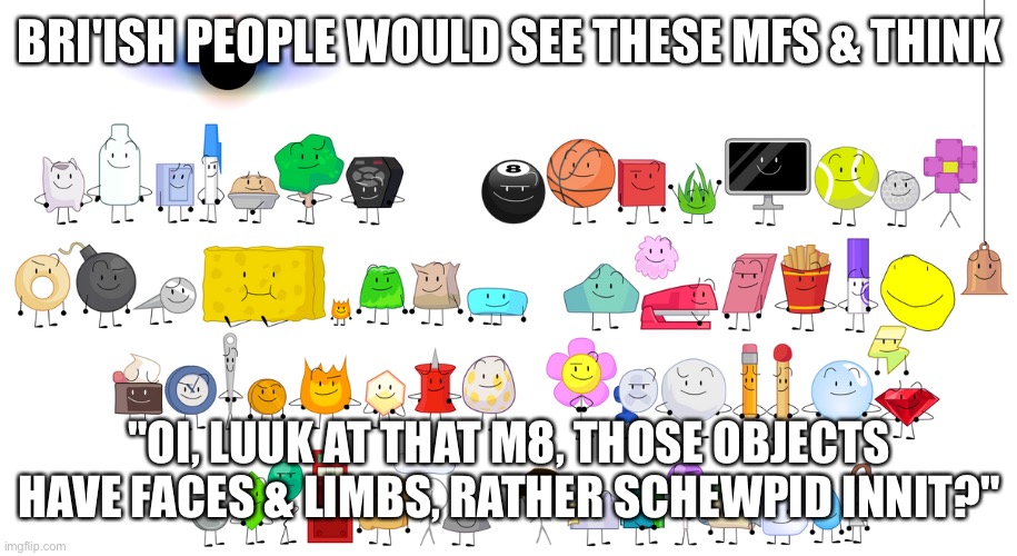 BFB Contestants | BRI'ISH PEOPLE WOULD SEE THESE MFS & THINK; "OI, LUUK AT THAT M8, THOSE OBJECTS HAVE FACES & LIMBS, RATHER SCHEWPID INNIT?" | image tagged in bfb contestants | made w/ Imgflip meme maker