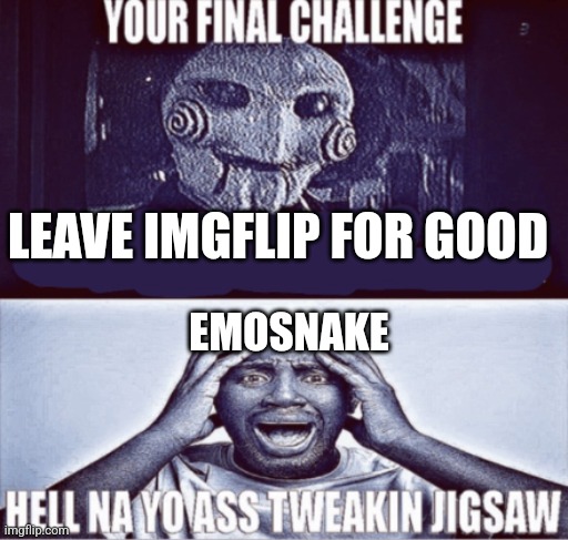 your final challenge | LEAVE IMGFLIP FOR GOOD; EMOSNAKE | image tagged in your final challenge | made w/ Imgflip meme maker