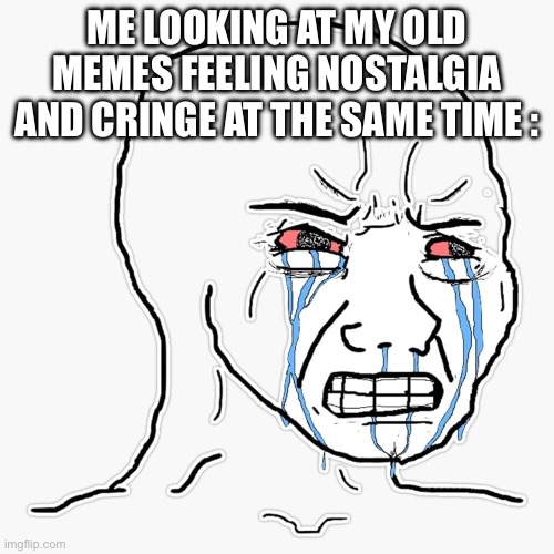 I have two feelings | ME LOOKING AT MY OLD MEMES FEELING NOSTALGIA AND CRINGE AT THE SAME TIME : | image tagged in funny,fun,memes,sad | made w/ Imgflip meme maker