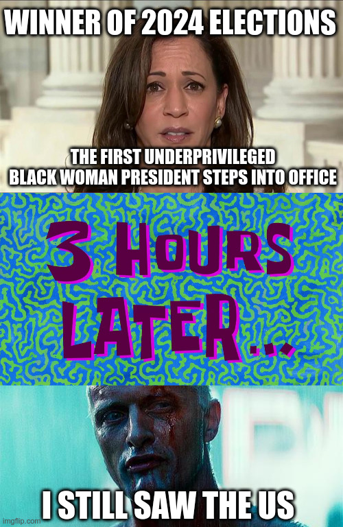 Me in the future | WINNER OF 2024 ELECTIONS; THE FIRST UNDERPRIVILEGED BLACK WOMAN PRESIDENT STEPS INTO OFFICE; I STILL SAW THE US | image tagged in kamala harris,3 hours later,bladerunner | made w/ Imgflip meme maker