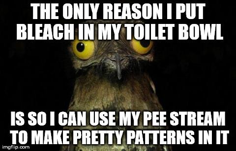 Weird Stuff I Do Potoo | THE ONLY REASON I PUT BLEACH IN MY TOILET BOWL IS SO I CAN USE MY PEE STREAM TO MAKE PRETTY PATTERNS IN IT | image tagged in memes,weird stuff i do potoo,AdviceAnimals | made w/ Imgflip meme maker