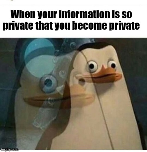 Private info | When your information is so private that you become private | image tagged in private | made w/ Imgflip meme maker